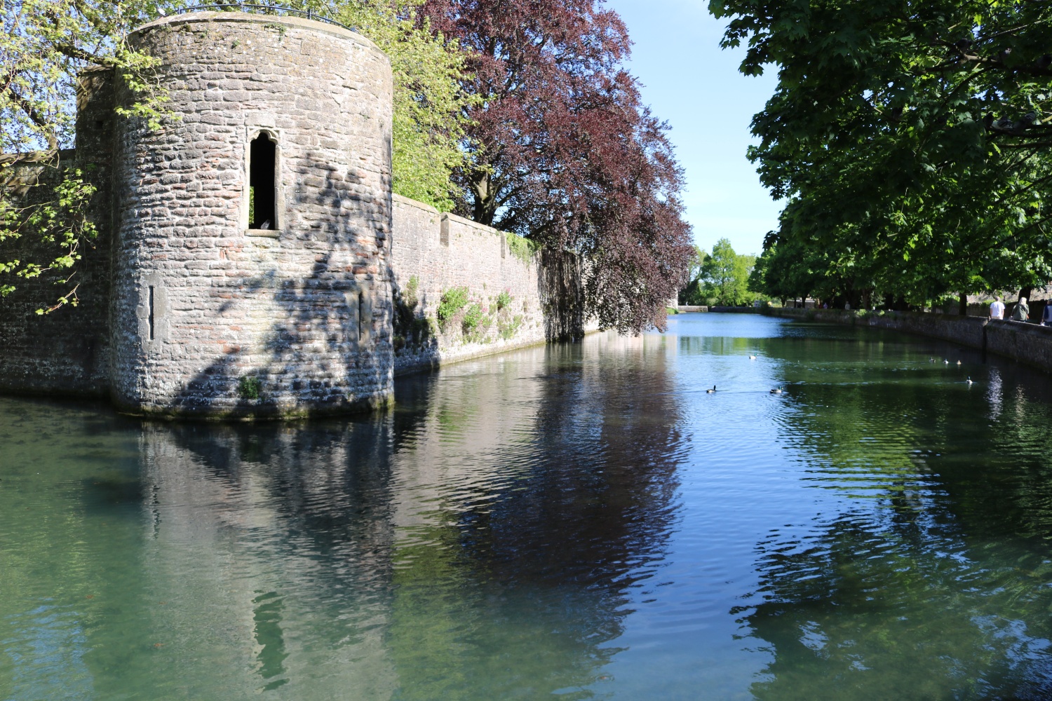 Bishops-Palace-Moat-Wells.JPG