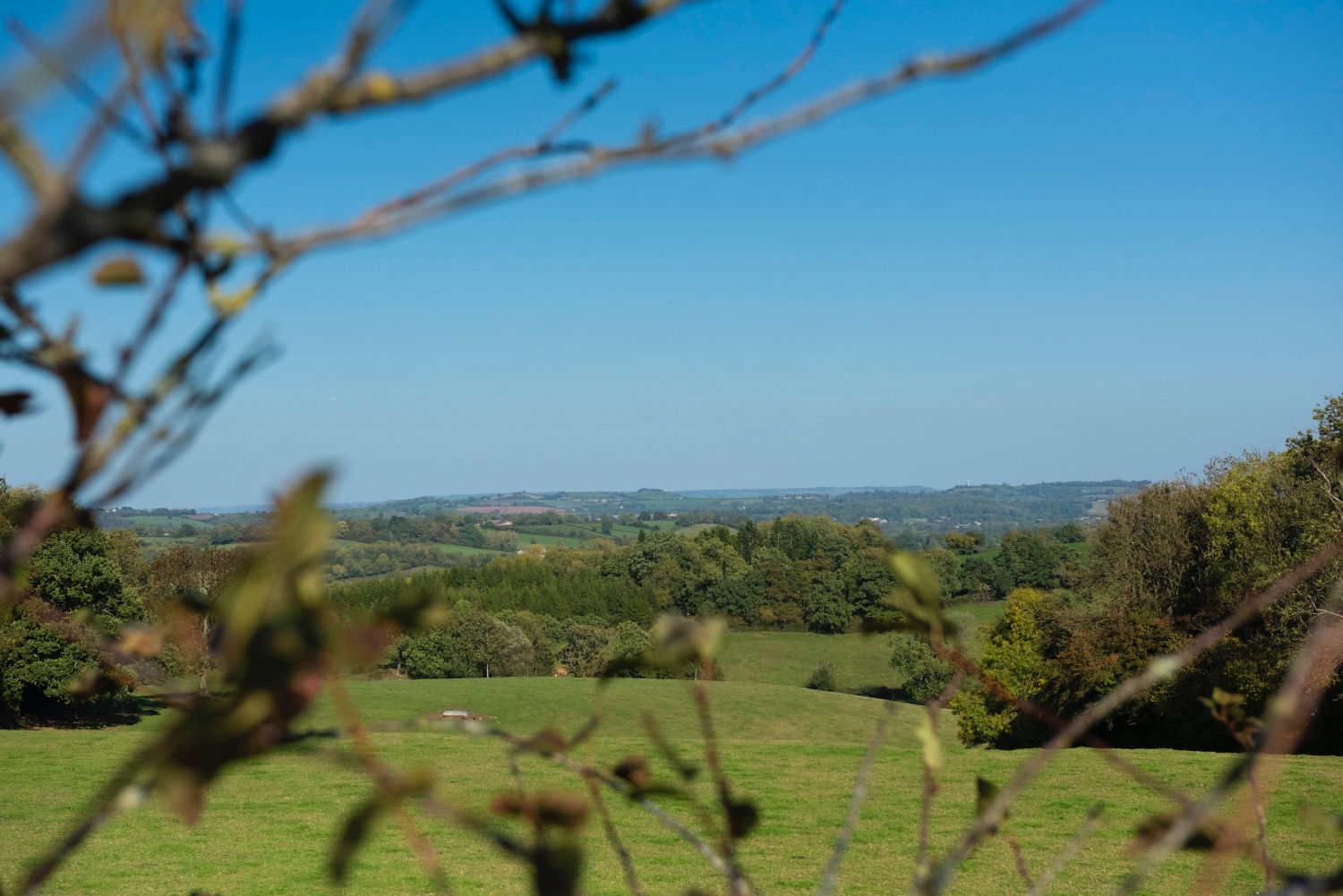 Lilycoombe Farm-83.jpg