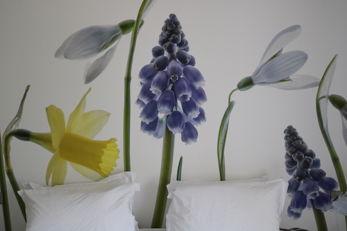 Image of a Bedroom in Jack's Barn at Lilycombe Fram