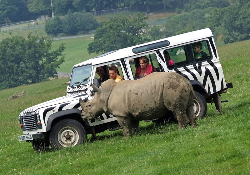 Longleat Safari Park