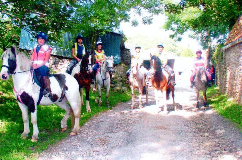 Riding lessons and trekking Riding lessons and trekking